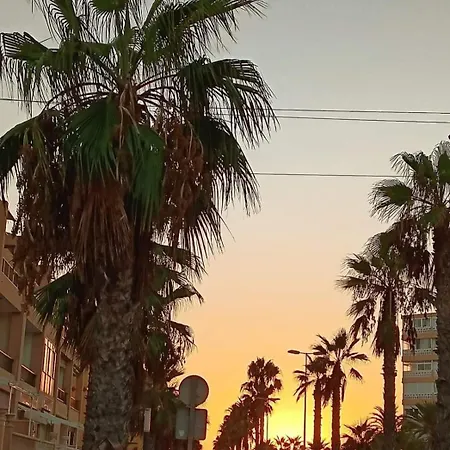 Solmar La Mata